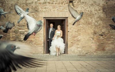 Marco&Elisa [wedding]