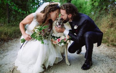 Matrimonio e Pets: c’è posto anche per loro nel fotoreportage di nozze