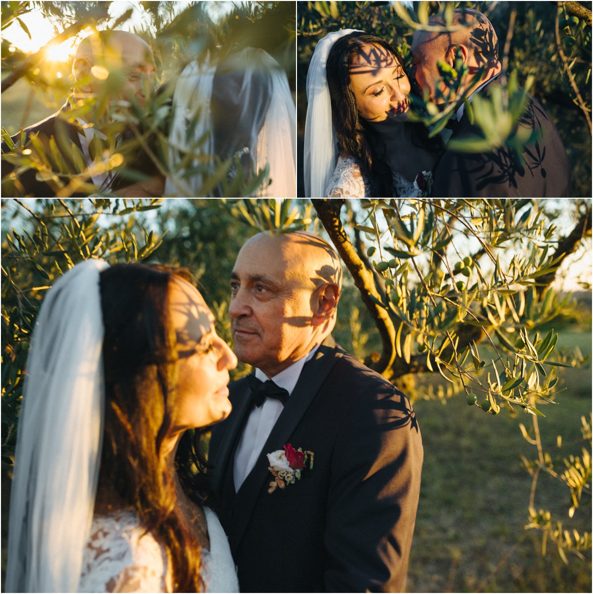 Gli sposi tra gli ulivi Cinzia e Giuseppe vicini tra i rami di ulivo